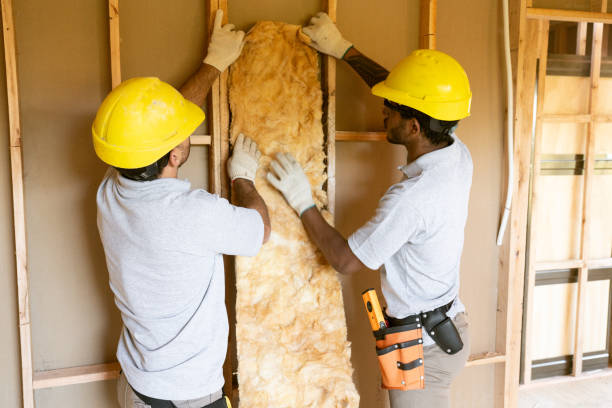 Best Insulation Contractor Near Me  in USA